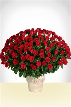 Flores - Imperial: 180 Rosas