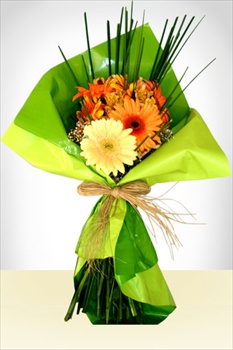 Flores - Bouquet de Gerberas: l y ella