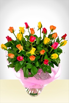 Flores a Bolivia Rosas Encantadas