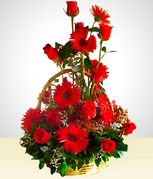 Flores a Bolivia Detalle Rojo